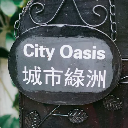 City Oasis Guesthouse-2