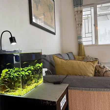City Oasis Guesthouse-3
